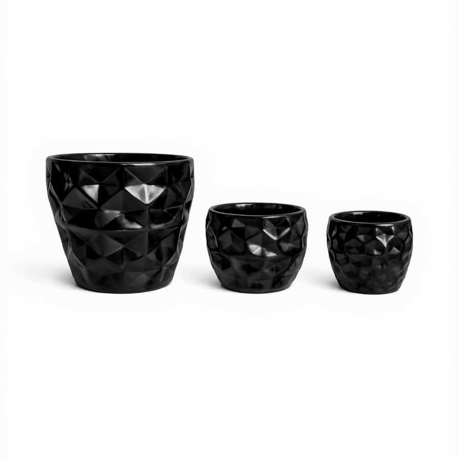 Juego Leo – 3 Piezas