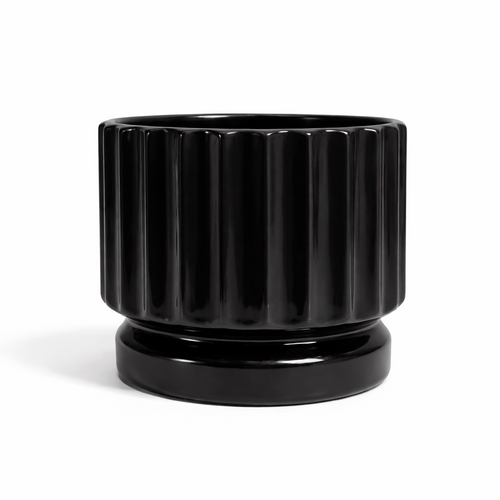 Campana Rayada Chica