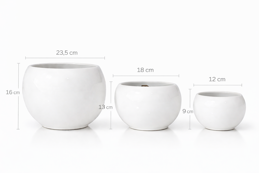Juego de Bule – 3 Piezas